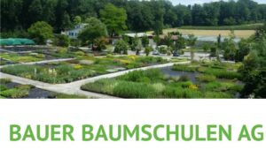 http://www.bauer-baumschulen.ch/